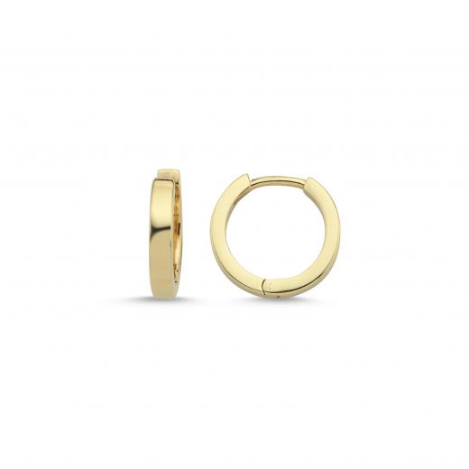 Small Gold Hoop Earrings